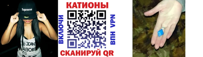 МЯУ-МЯУ 4 MMC  KRAKEN вход  Ладушкин 