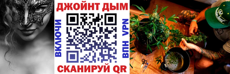 Шишки марихуана конопля где продают наркотики Ладушкин